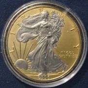 2006 Gold And Platinum Enhanced  Silver Eagle