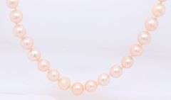 Pink Fresh water Pearl Necklace