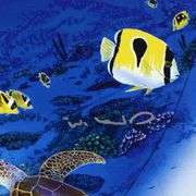 Sea of Life by Wyland