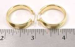 Shimmering 14K Yellow Gold Hoop Earrings