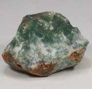 Large 263.65ct green and white Jasper