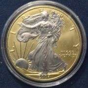 2004 Gold And Platinum Enhanced  Silver Eagle