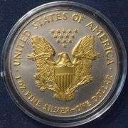 2007 Gold And Platinum Enhanced Silver Eagle