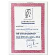 L'Acrobate by Henri Matisse