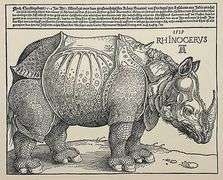 Extremely Rare Albrecht Durer Vintage Lithograph After a Woodcut Plate Circa 1946