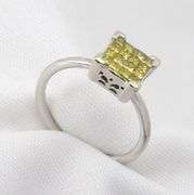 Invisibly Set 14k White Gold Diamond Cluster
