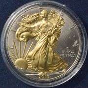 2015 Gold And Platinum Enhanced  Silver Eagle