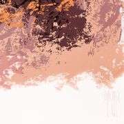 Lioness & Her Cubs by Mark King