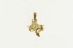 10K Yellow Gold State of Texas Gold Nugget Texture Charm/Pendant