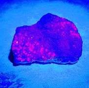 Incredible 260.78ct Ruby and Sapphire