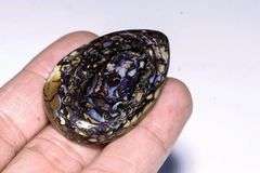 Highly figurative 75.20ct Koroit boulder Opal