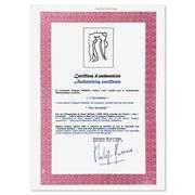 L'Acrobate by Henri Matisse