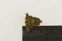 14K Yellow Gold 1943 WWII USNA Naval Academy Lapel Pin/Brooch