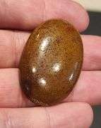 Huge 83.56ct cabochon cut from dinosaur bone