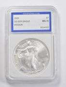 2005 American Silver Eagle