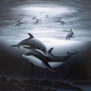 Dolphin Affection by Wyland
