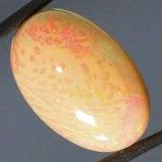Exceptional! 14.46ct full spectrum honeycomb Opal
