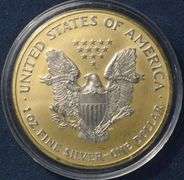 2004 Gold And Platinum Enhanced  Silver Eagle