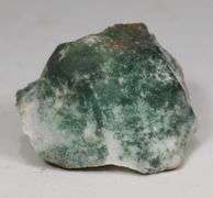 Large 263.65ct green and white Jasper