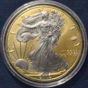 2002 Gold And Platinum Enhanced  Silver Eagle