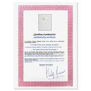 The Little Prince by Antoine de Saint-Exupery