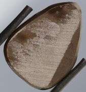 Look at this 16.42ct dragonfly wing patterned Ammolite!