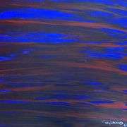 Untitled by Wyland Original