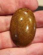 Huge 83.56ct cabochon cut from dinosaur bone