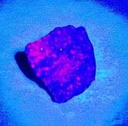 Tremendous 165.31ct Ruby and Sapphire