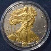 2007 Gold And Platinum Enhanced Silver Eagle
