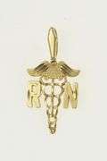 14K Yellow Gold RN Registered Nurse Caduceus Medicine Charm/Pendant