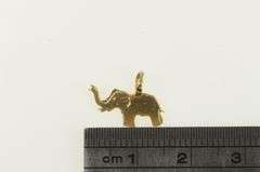 14K Yellow Gold Elephant Animal Memory Strength Symbol Pendant