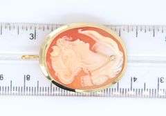 Beautiful 18kt Italian Shell Cameo Pin Pendant