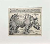 Extremely Rare Albrecht Durer Vintage Lithograph After a Woodcut Plate Circa 1946