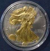 2001 Gold And Platinum Enhanced  Silver Eagle