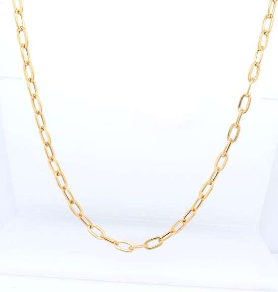 Paper Clip Chain Necklace in 18kt Yellow Gold