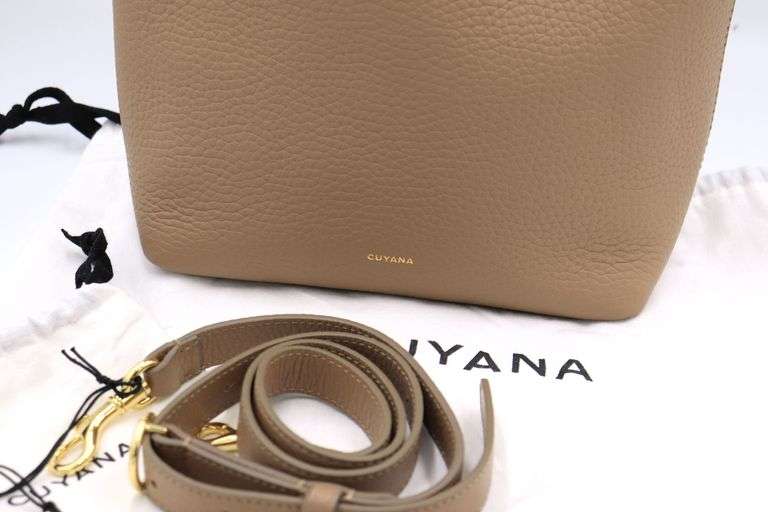 Cuyana Mini System Tote