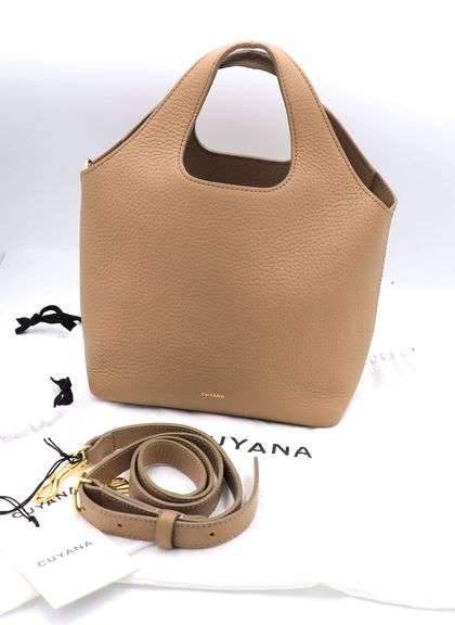 Cuyana Mini System Tote