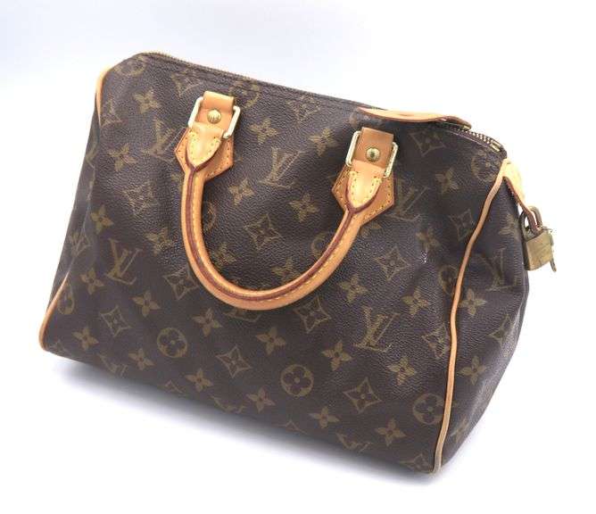 Louis Vuitton Speedy Monogram Purse