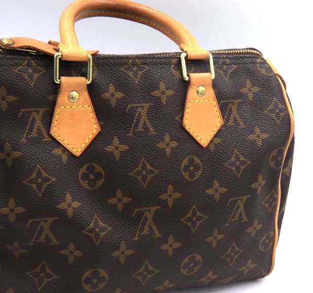 Louis Vuitton Speedy Monogram Purse