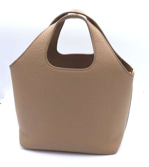 Cuyana Mini System Tote
