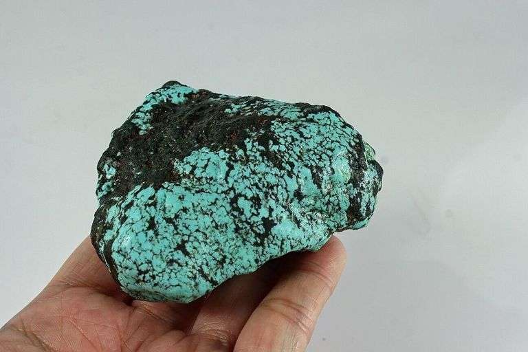 Giant! 665ct spiderweb Turquoise