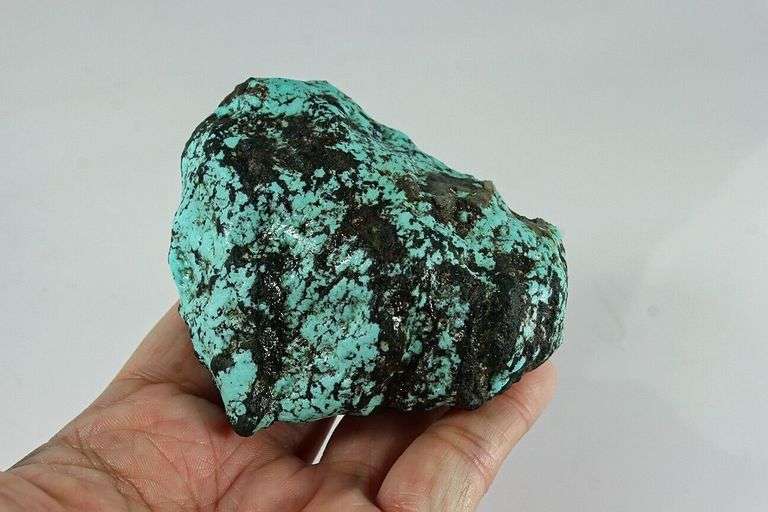Giant! 665ct spiderweb Turquoise