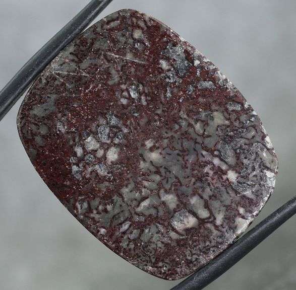 Really cool 32.77ct cabochon cut from dinosaur bone
