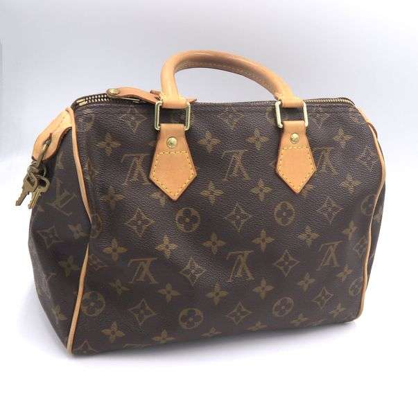 Louis Vuitton Speedy Monogram Purse