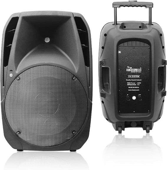 1600W 15in PA Speaker: Powerful Sound