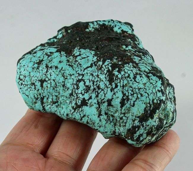 Giant! 665ct spiderweb Turquoise
