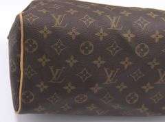 Louis Vuitton Speedy Monogram Purse