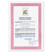 Le Cheval de Labeur by Salvador Dali