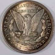 1885 Toned Slider Morgan Dollar